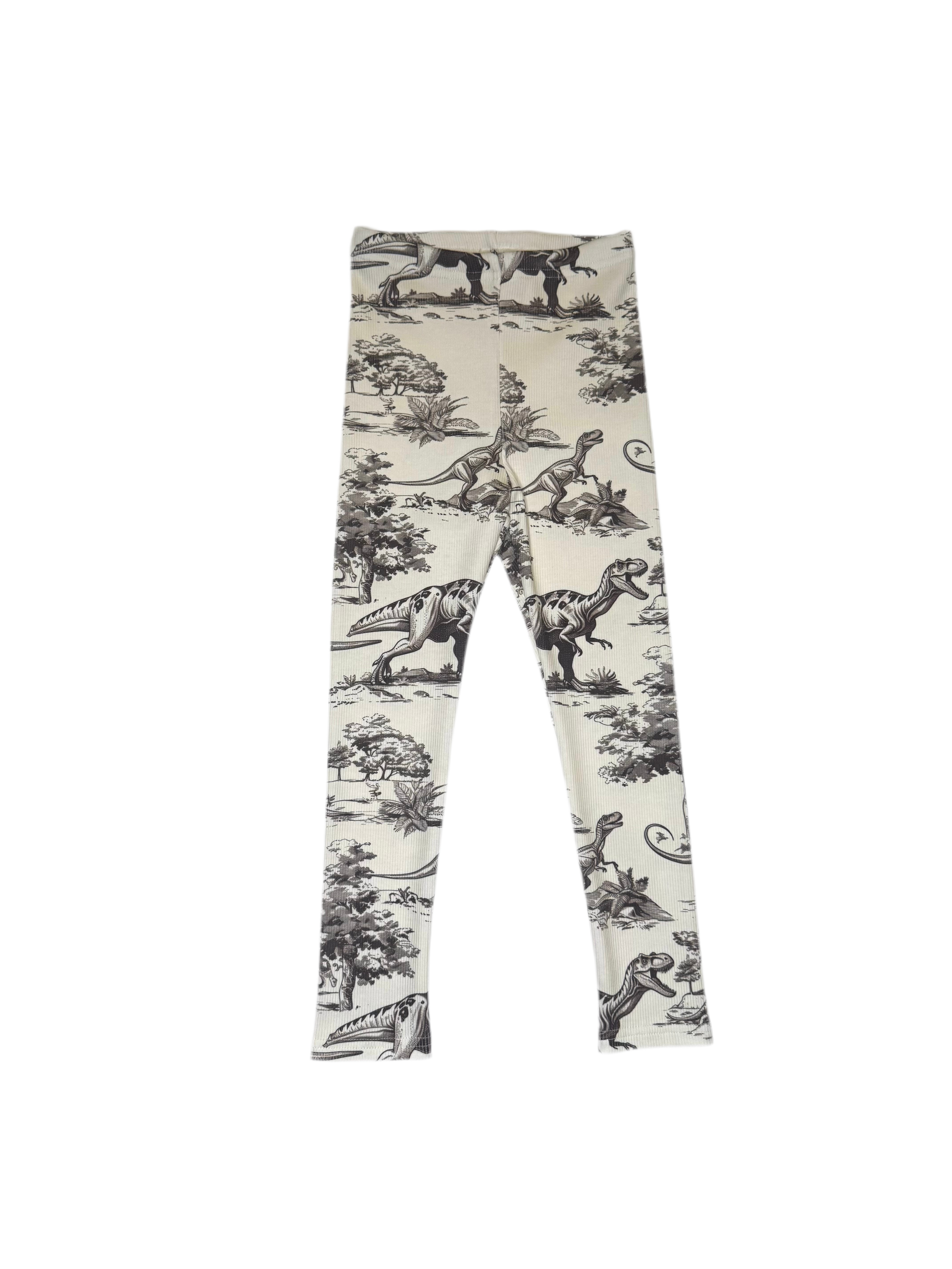 Ribbilegginsit, dinot