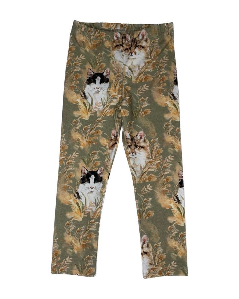 Legginsit, kissa